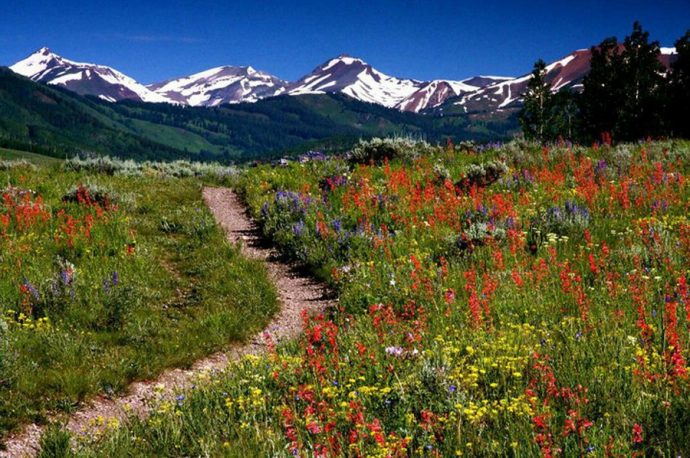 You might want to read up on all the Things you Need to Know Before Visiting Colorado.