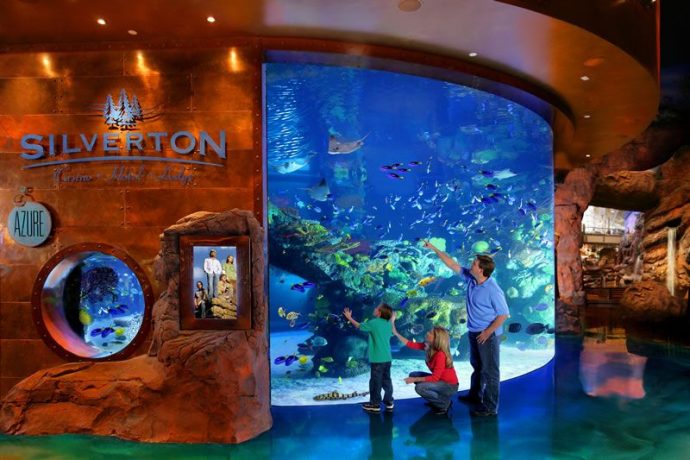The Mermaid Show in the Silverton Hotel is absolutely one fo the favorite Free Things To Do In Las Vegas With Kids