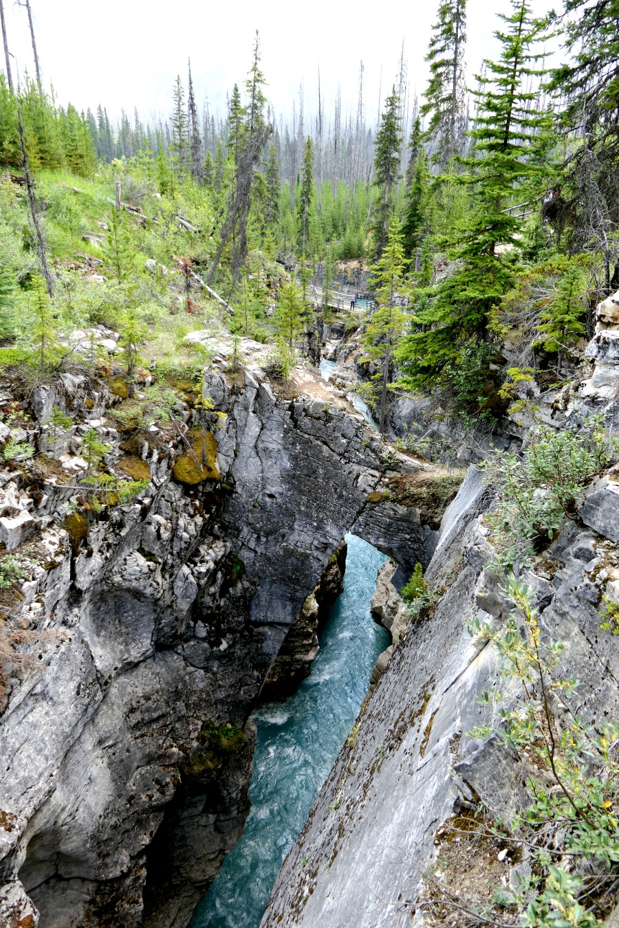 Marble Canyon offers some of the most spectacular scenery you will ever see.