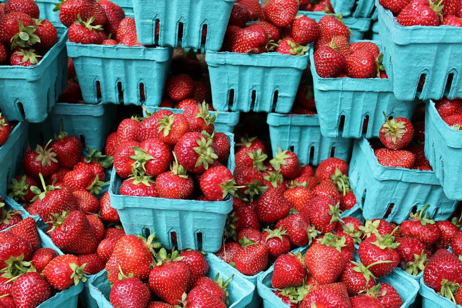 Stopping at local farmer's markets are some of our favorite Free Things To Do In Virginia Beach.